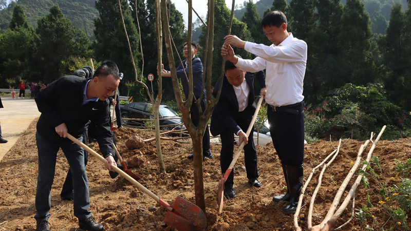 王昱参加植树活动.jpg