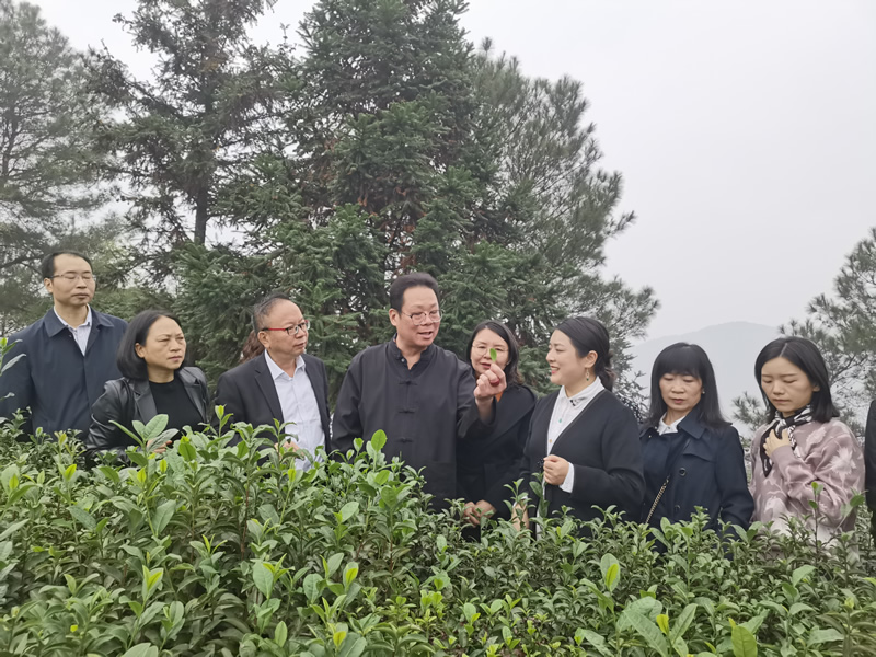 4-20241108调研组成员与茶文化专家交流探讨.jpg