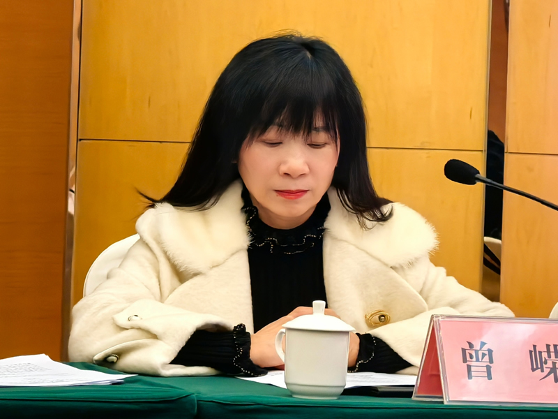 3-曾嵘主持会议