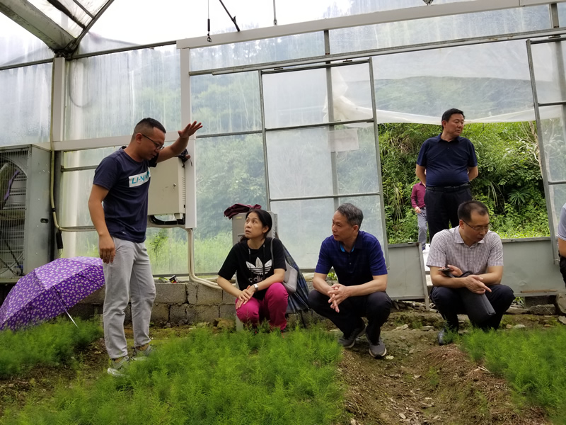 许沛在东坪村中药材育苗基地与企业负责人交流中药材种植管护等.jpg
