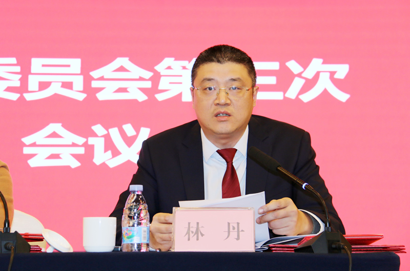 6-台盟重庆市委会副主委林丹传达有关会议精神.jpg