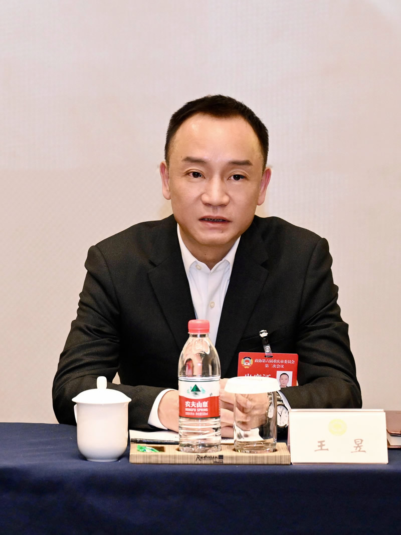 2-王昱主持召开台盟党派活动.jpg